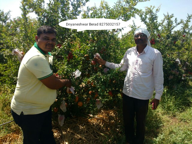 Green Planet Bio Products Nashik Mobile  shop Nashik